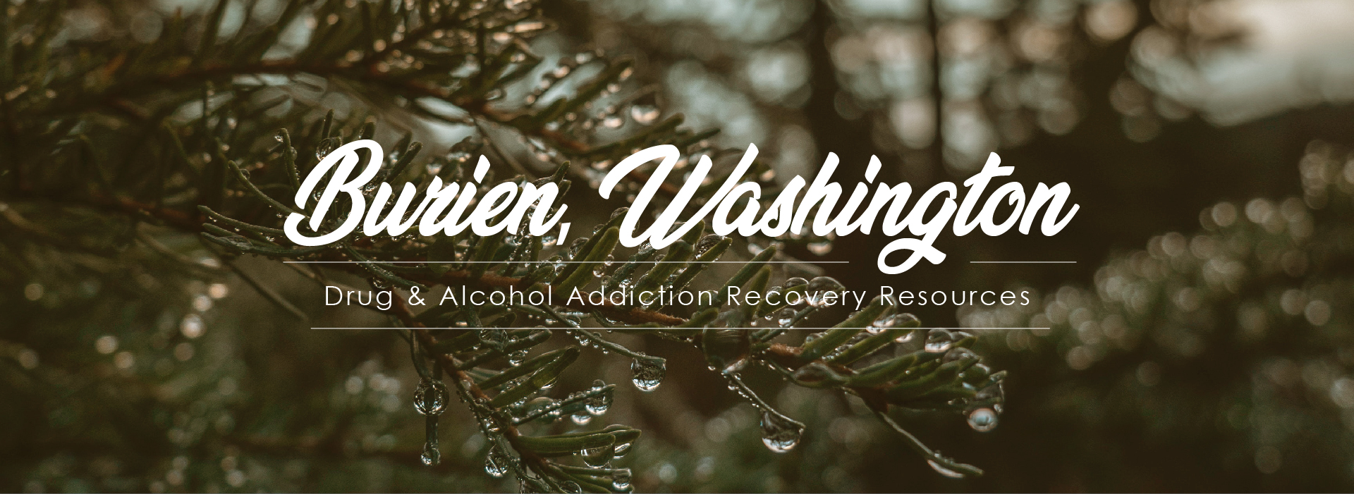 Burien, Washington, drug and alcohol addiction recovery resources