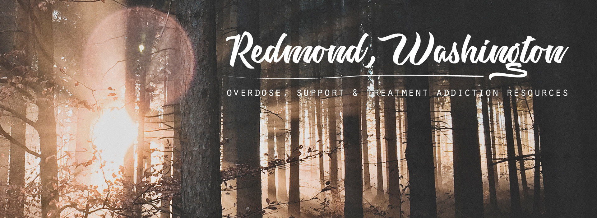 Redmond, Washington, Overdose, Support and treatment addiction resources